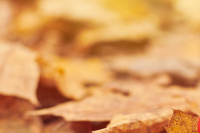 amor no correspondido