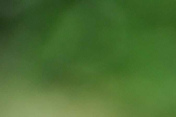 alimentos dañinos en exceso