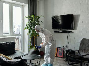 desinfectar tu casa