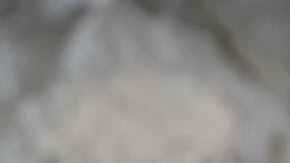 Nueces para el cerebro