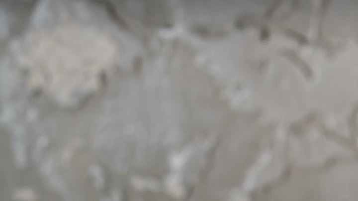 Nueces para el cerebro