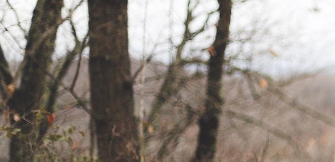 mujer mayor que el hombre