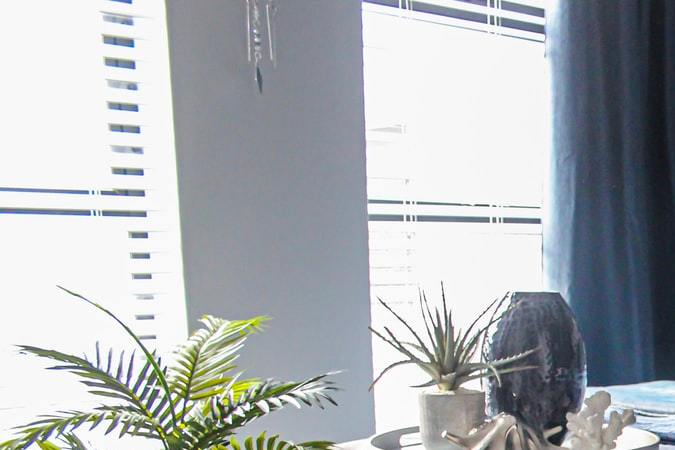 plantas en el cuarto