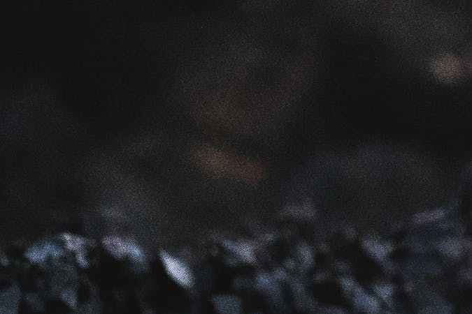 remedio casero contra el moho