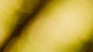 Ser agradecidos con lo que tenemos es parte de la felicidad. / Foto: Freepik