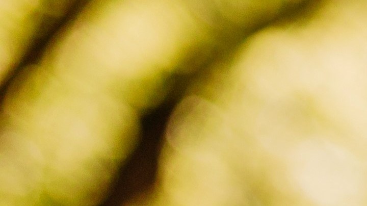 Ser agradecidos con lo que tenemos es parte de la felicidad. / Foto: Freepik