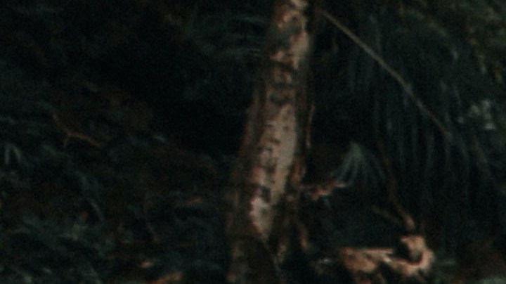 Costa Rica destaca en la lista de International Living. / Foto: Unsplash