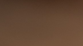 Esta planta es ideal para tratar gripes y resfriados. / Foto: Freepik