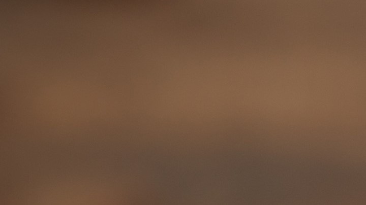 Esta planta es ideal para tratar gripes y resfriados. / Foto: Freepik