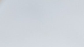 Son un buen sustituto por todos sus nutrientes. / Foto: Unsplash