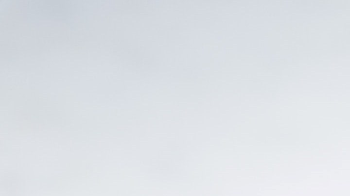 Son un buen sustituto por todos sus nutrientes. / Foto: Unsplash