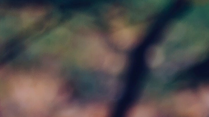 Hay personas que gustan de su cabello blanco. / Foto: Unsplash