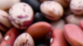 frijoles