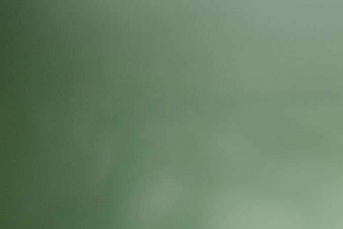 alimentos que no van en el refrigerador