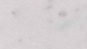 beneficios del aguacate