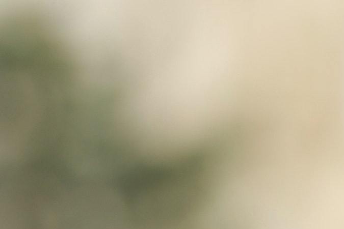 alimentación intuitiva