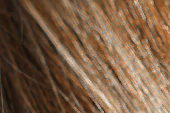 la salud y tu cabello