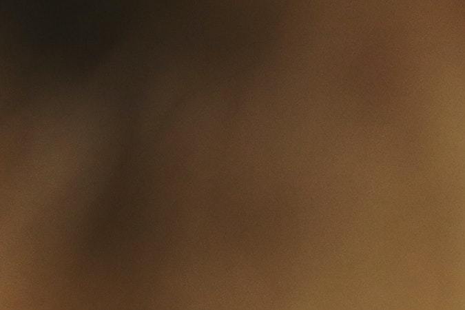 coronavirus endémico