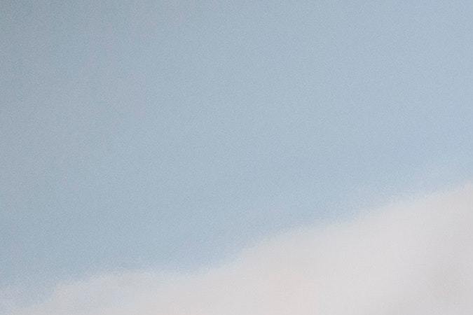 coronavirus endémico