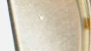 objetos que puedes reutilizar