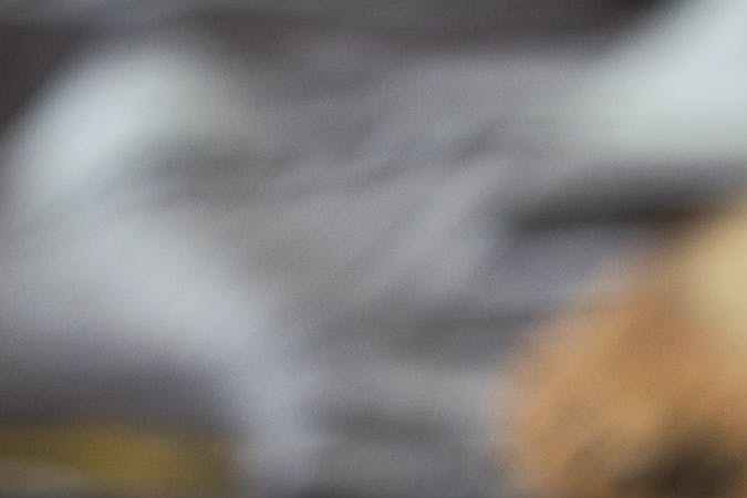 alimentos que no van en el refrigerador