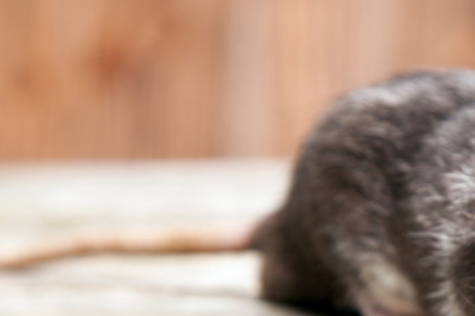 problemas domésticos en casa