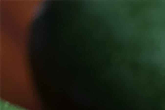 alimentos que no van en el refrigerador