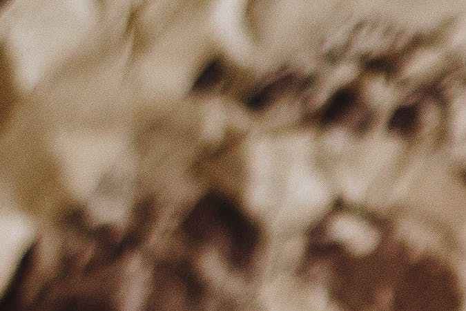 alimentos que no van en el refrigerador