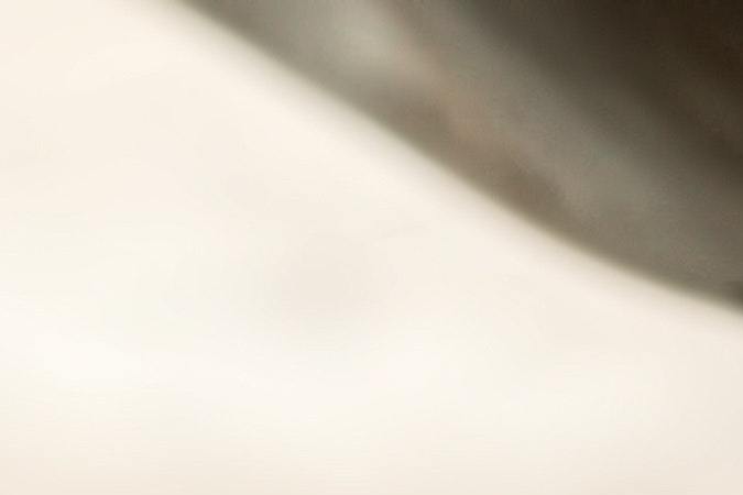 remedios contra los hongos