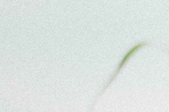 remedios contra el acné