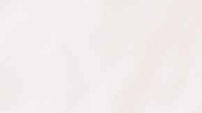 Agua o té de jamaica