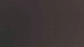 Estos comestibles nos protegen de enfermedades. / Foto: Igor Miske - Unsplash.