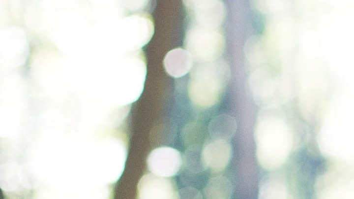 Repíteles que tu nueva pareja nunca reemplazará a ninguno de los padres. / Foto: John Mark-Unsplash.