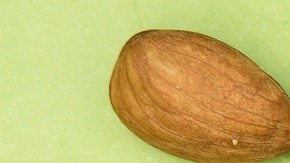 almendras