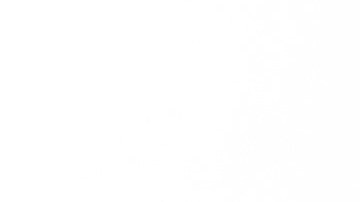 Estos alimentos son ricos en proteína. / Foto: Freepik.