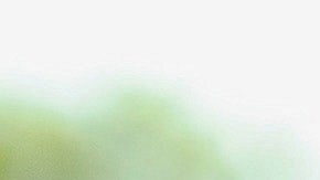 Procura utilizar  ingredientes naturales y frescos. / Foto: Ralph Kayden - Unsplash.