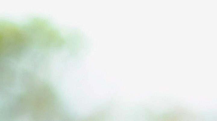 Procura utilizar  ingredientes naturales y frescos. / Foto: Ralph Kayden - Unsplash.