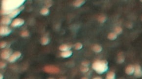 Invítala a un lugar que les llene de buenos recuerdos. / Foto: Sam Ríos - Unsplash.