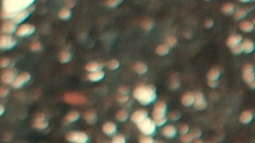 Invítala a un lugar que les llene de buenos recuerdos. / Foto: Sam Ríos - Unsplash.