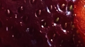 fresas