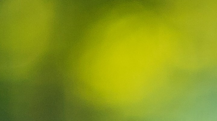 La presencia de metales tóxicos en los alimentos para bebés puede afectar su desarollo motor. / Foto: Freepik