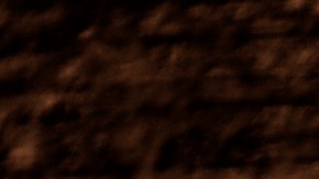 Hay que estar atentos a cualquier agujero que aparezca en nuestra madera. / Foto Freepik.