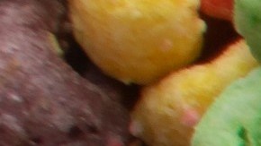 Estos alimentos para el desayuno contienen preservantes que afecta la eficacia de la vacuna contra el Covid-19