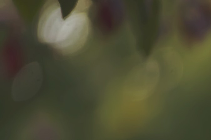 día de san patricio