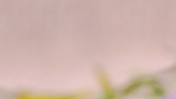 aromaterapia