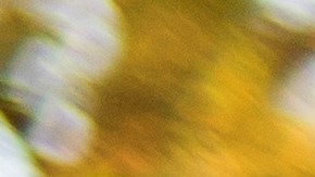 Por qué mi hijo no me hace caso