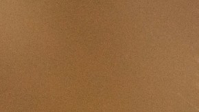 eliminar las pulgas de tu gato