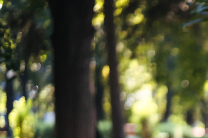 ejercicios con covid