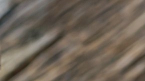 latinos consumen legumbres