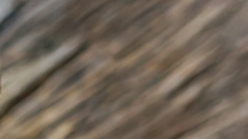 latinos consumen legumbres